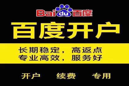 SEM托管实战：某电商平台的成功经验
